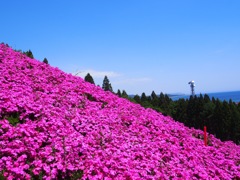 木古内町　薬師山
