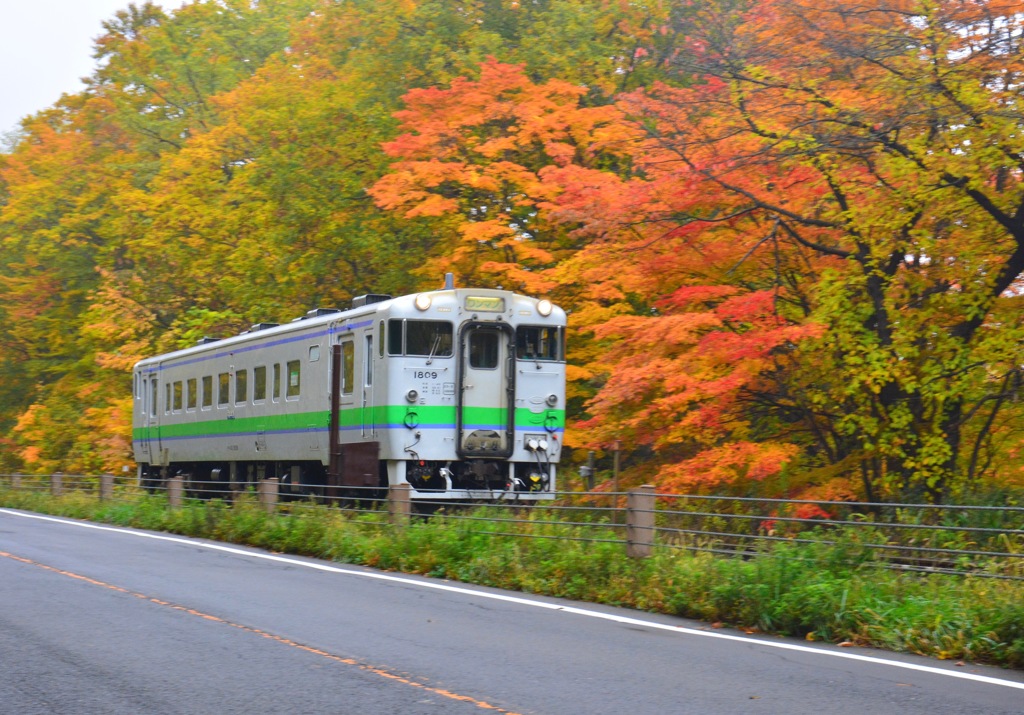 紅葉の中を行く
