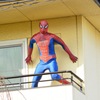 本日のスパイダーマン