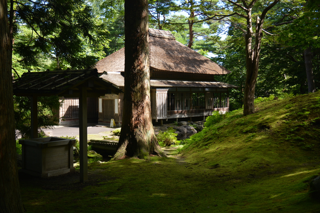 苔生す庭園