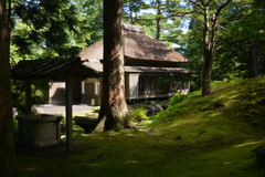 苔生す庭園