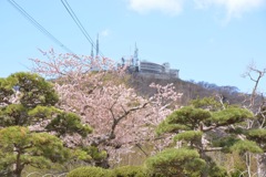函館山