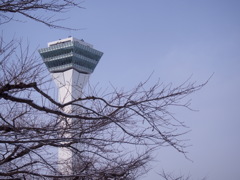 春を待つ五稜郭公園