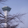 春を待つ五稜郭公園
