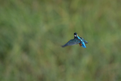 つづくといいな！　⑧－２－１