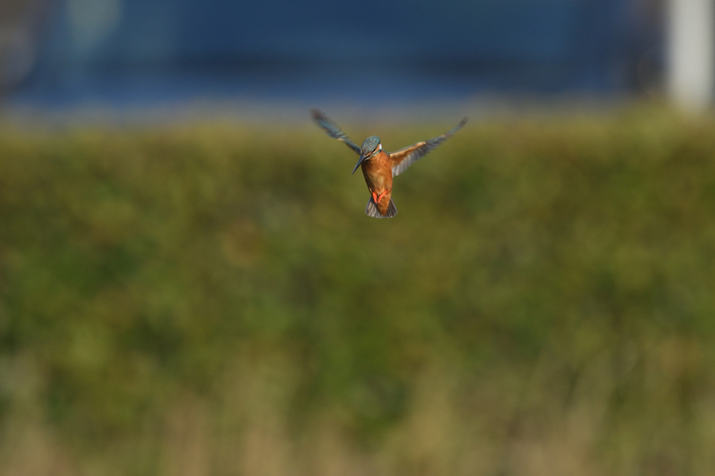 プチ三段ホバ？　③