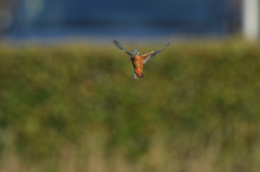 プチ三段ホバ？　③