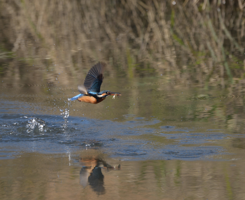 ヘタ打ち３　２