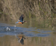 ヘタ打ち３　２