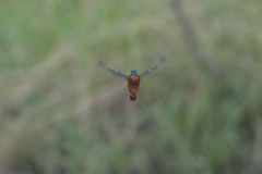 遅刻だ！　②－1－1