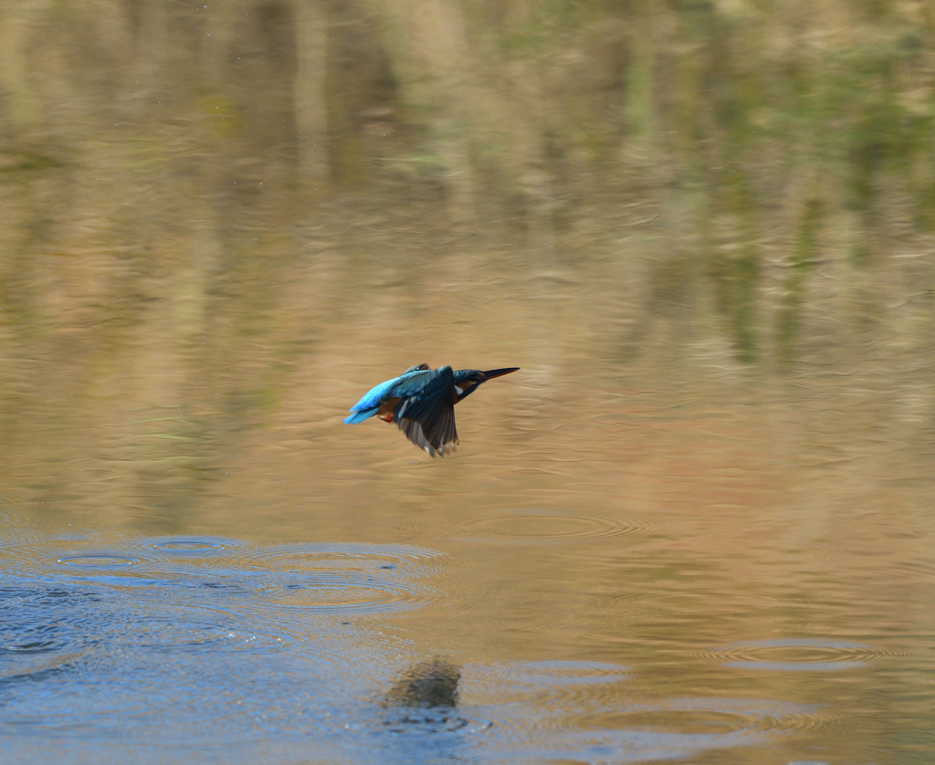 Ｏさんの様に・・・　６