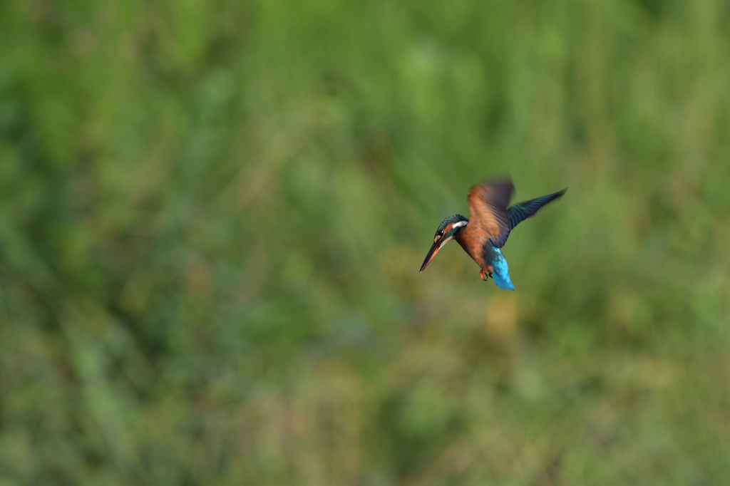 つづくといいな！　⑧－２－３