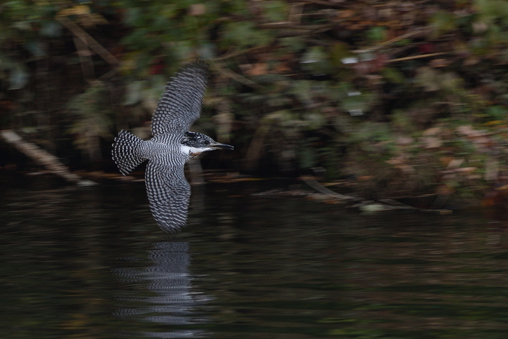 止まらなかった　4