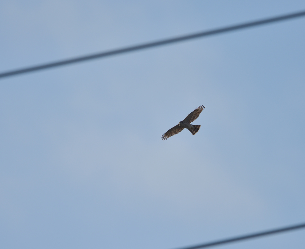 迷いばかり　１