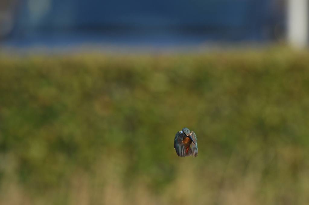 プチ三段ホバ？　⑧