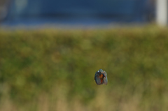 プチ三段ホバ？　⑧