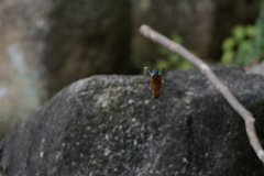 ホバったよ　２