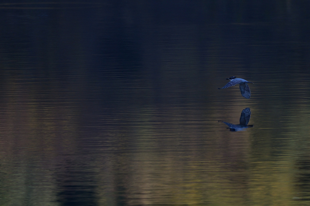 止まらなかった　2