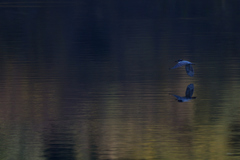 止まらなかった　2