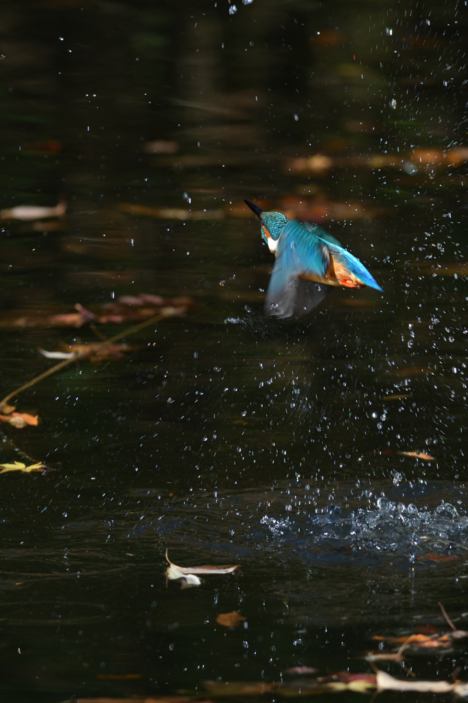 間に合わない　１