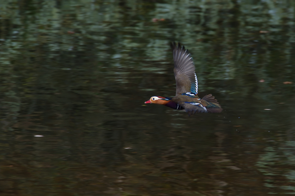 また、止まらず。４
