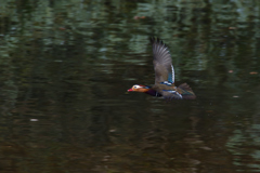 また、止まらず。４