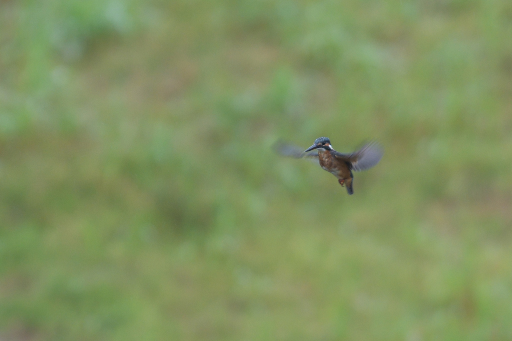 Ａホバ　２－１