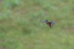 Ａホバ　２－１