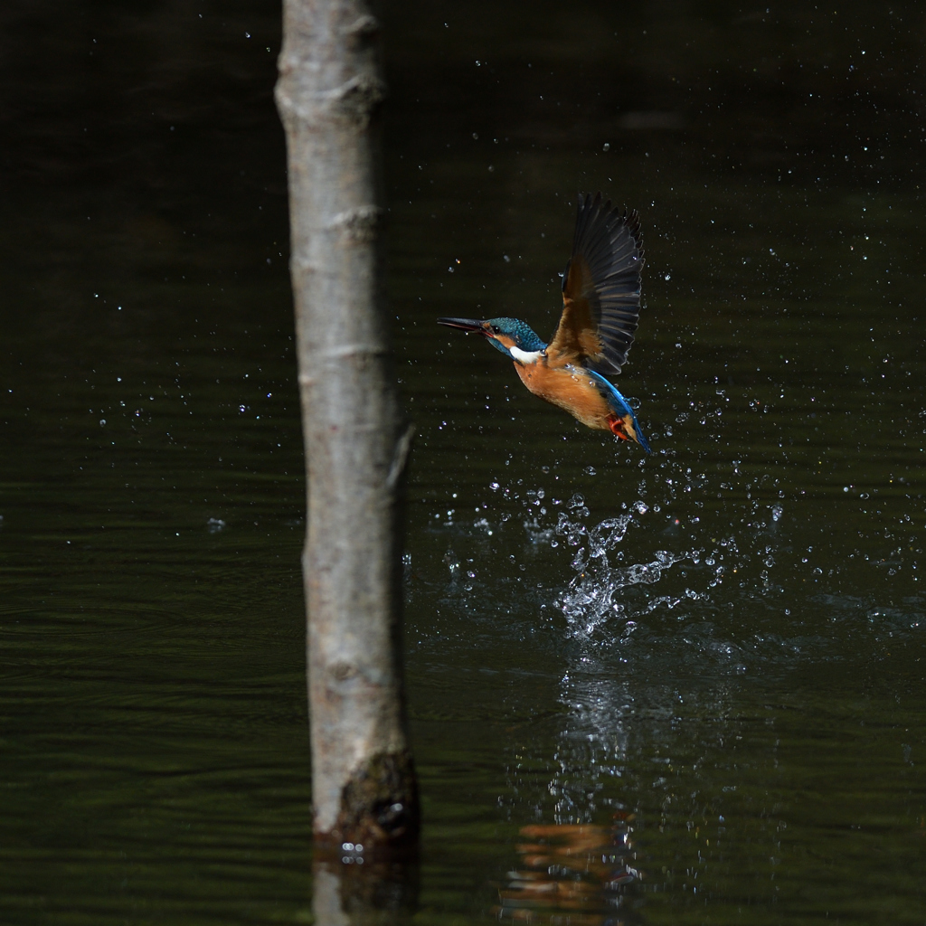 なんだかなぁ　２