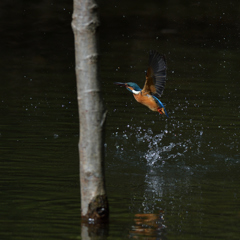 なんだかなぁ　２