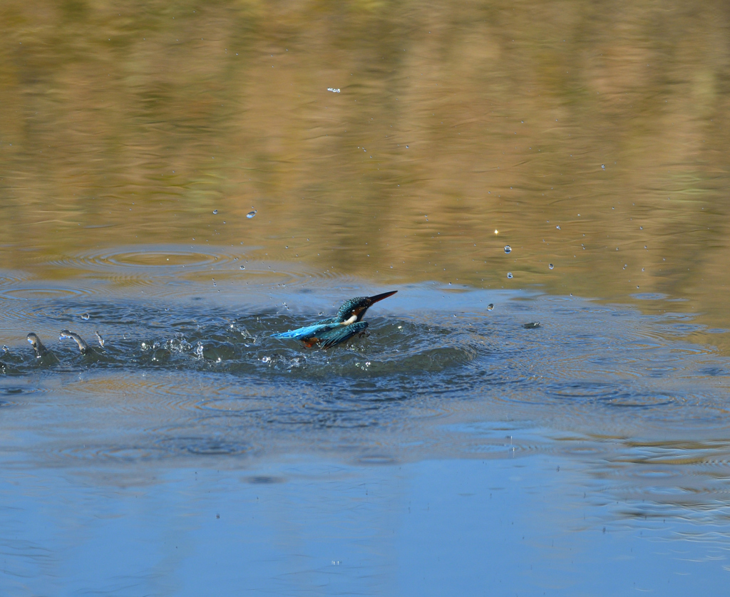 Ｏさんの様に・・・　２