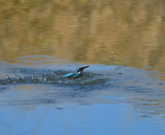 Ｏさんの様に・・・　２