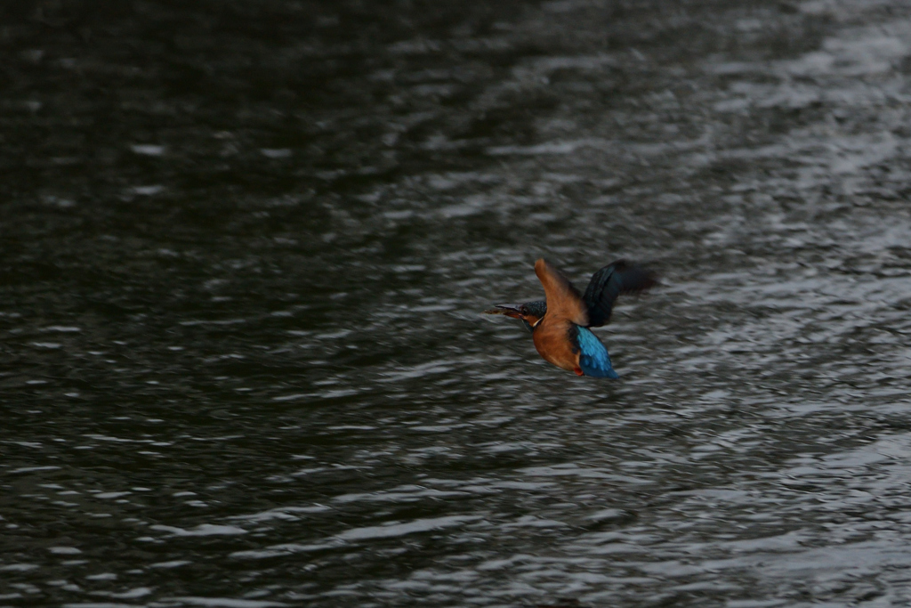 アスガアルサ　１