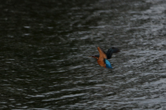 アスガアルサ　１