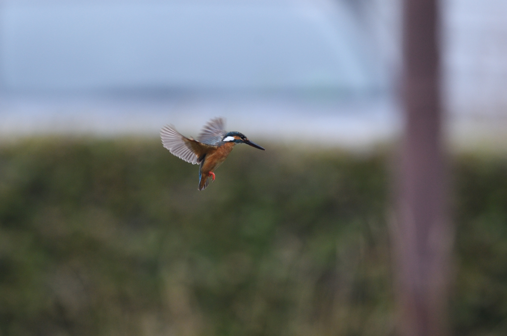 入場は、2回のみ。