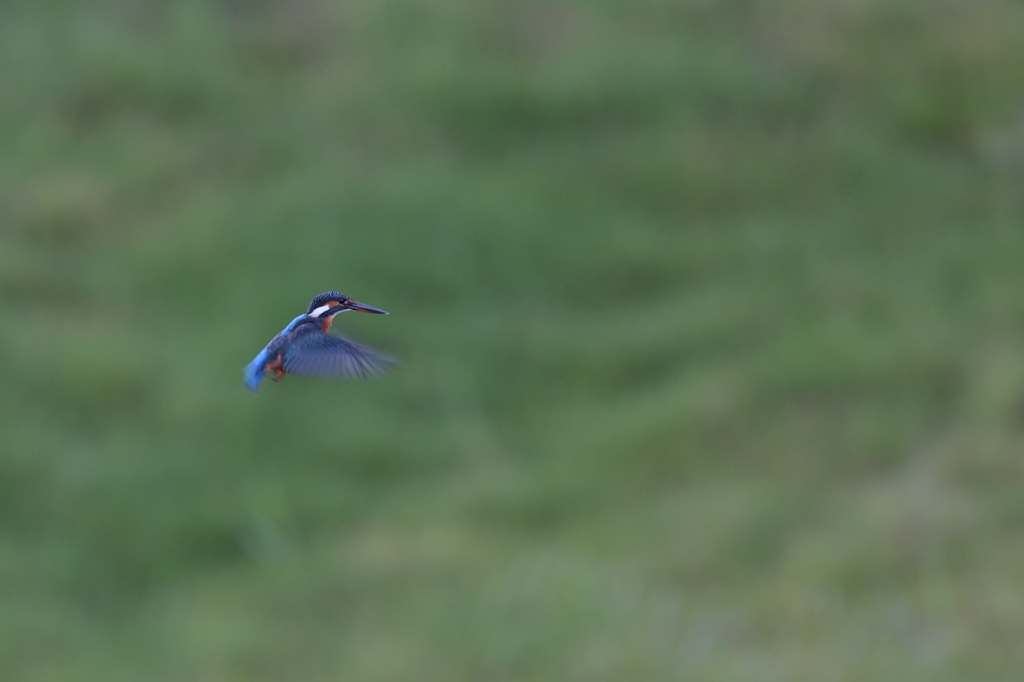 回避できたけど・・・　②－１