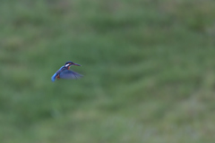 回避できたけど・・・　②－１