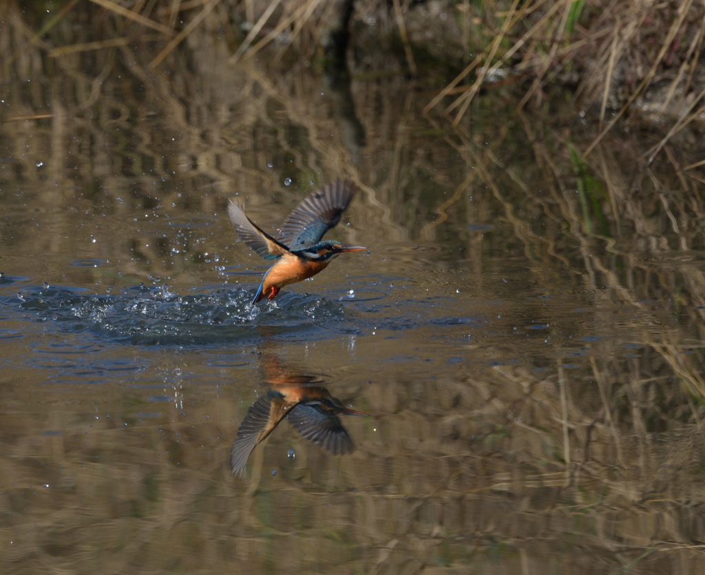 迷いばかり　３