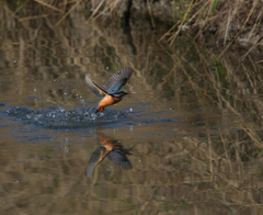 迷いばかり　３