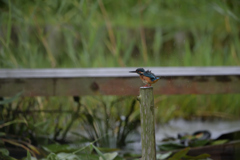 ブルブルっと。