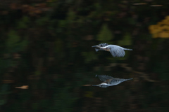 止まらなかった　1