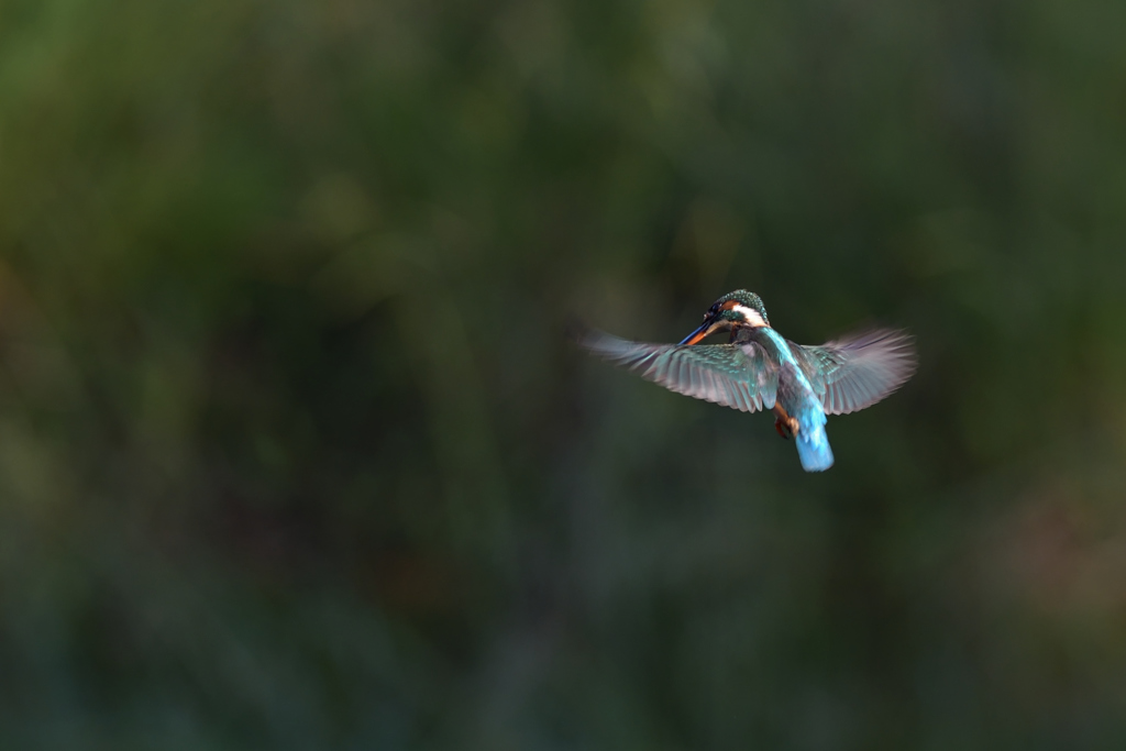 プチ祭り　⑥－６－２