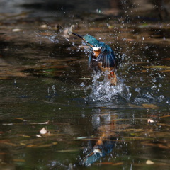 間がほしい　１