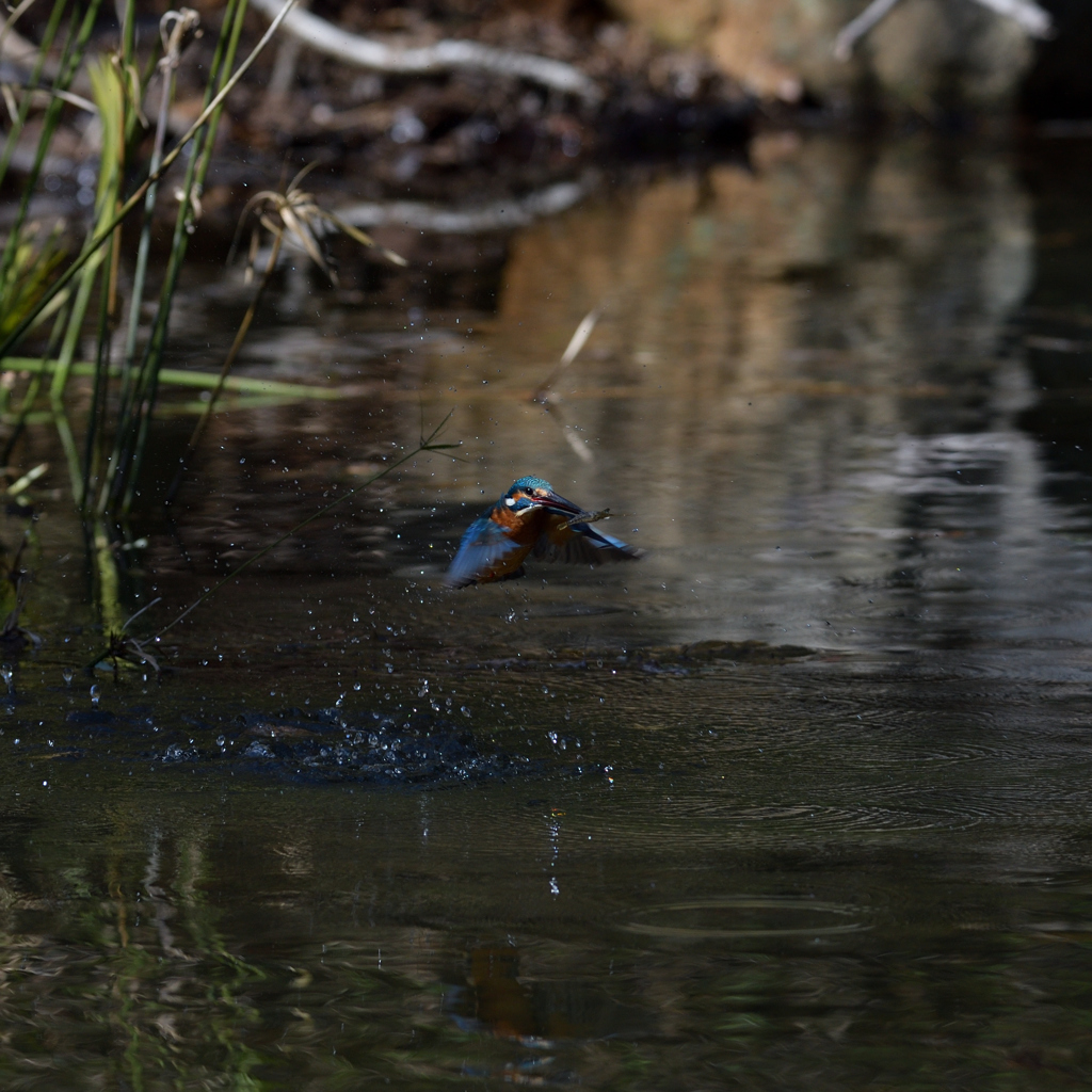 もっと飛沫を　２