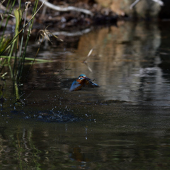 もっと飛沫を　２