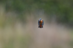 入場は、2回のみ。