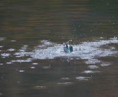 二発だけど・・・　3