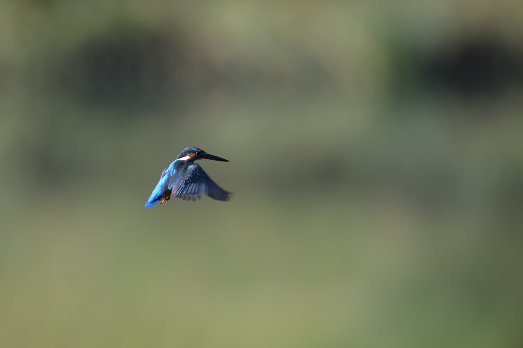 もうちょっと　⑩－9