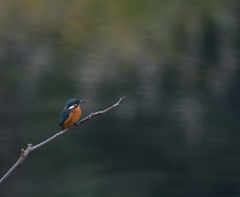 またまた・・・　２