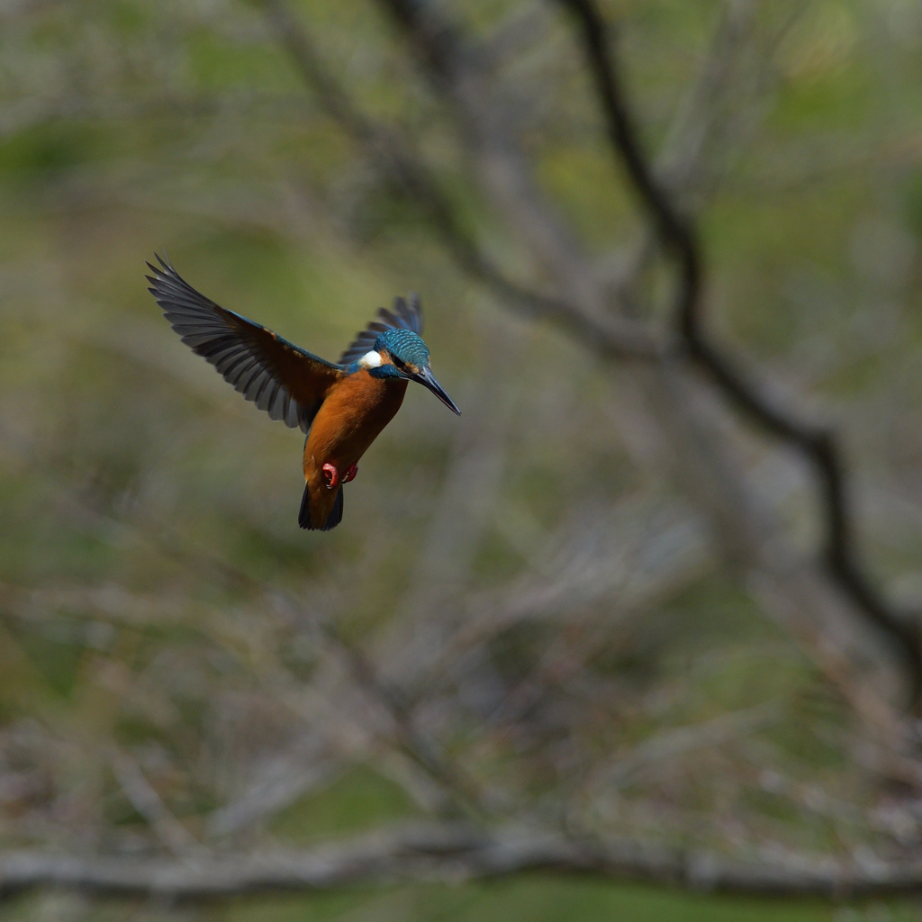 今度はよかった